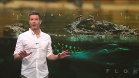 Florida Tonight: June 10, 2025