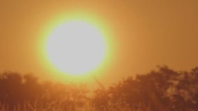 Phoenix braces for extreme heat as city prepares cooling centers