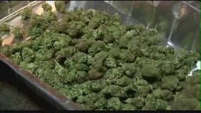 Michigan pot shop owner banned from operating in state after violations found at multiple businesses