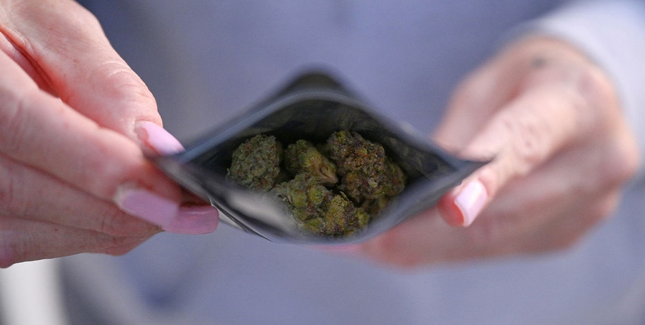 Marijuana smell in Michigan no longer enough for police to search someone, high court rules