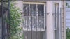 Detroit animal hoarding case leads to hazmat rescue, several dogs and cats found dead