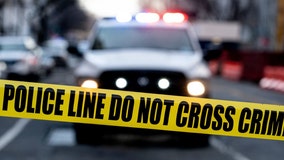 2 men fatally shot inside Chicago home: police