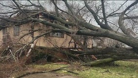 Severe storms leave trail of damage across Chicagoland