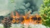 Teen heroes save neighbors and dogs from raging Cherokee County house fire