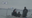 DC plane crash: All 67 victims positively identified, wreckage recovery moves forward