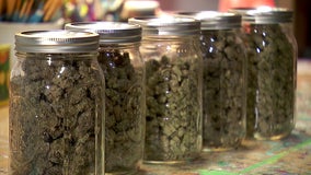 Moorhead, St. Cloud getting retail cannabis stores from White Earth Nation tribal company