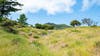 This state park ranked best for hiking in California