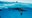 Hilton Head sees 2nd shark attack in one week amid busy summer vacation season