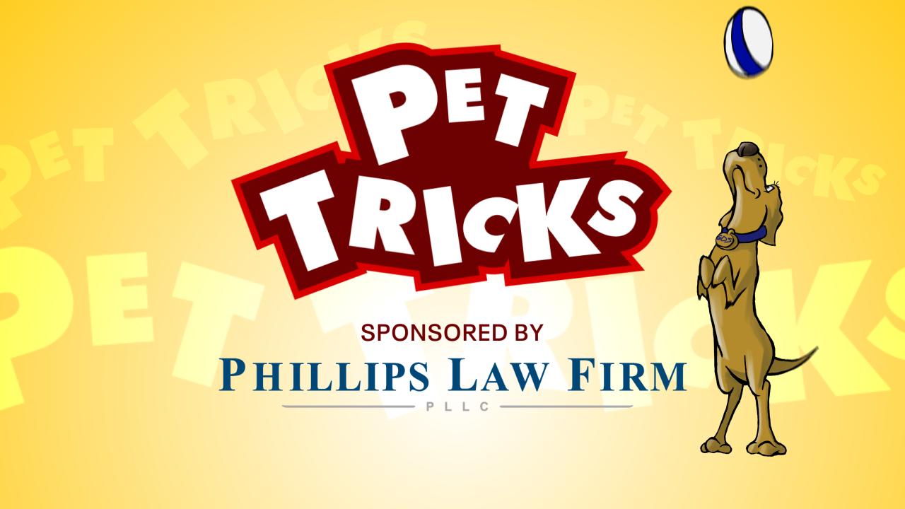 Submit Your Pet Video!